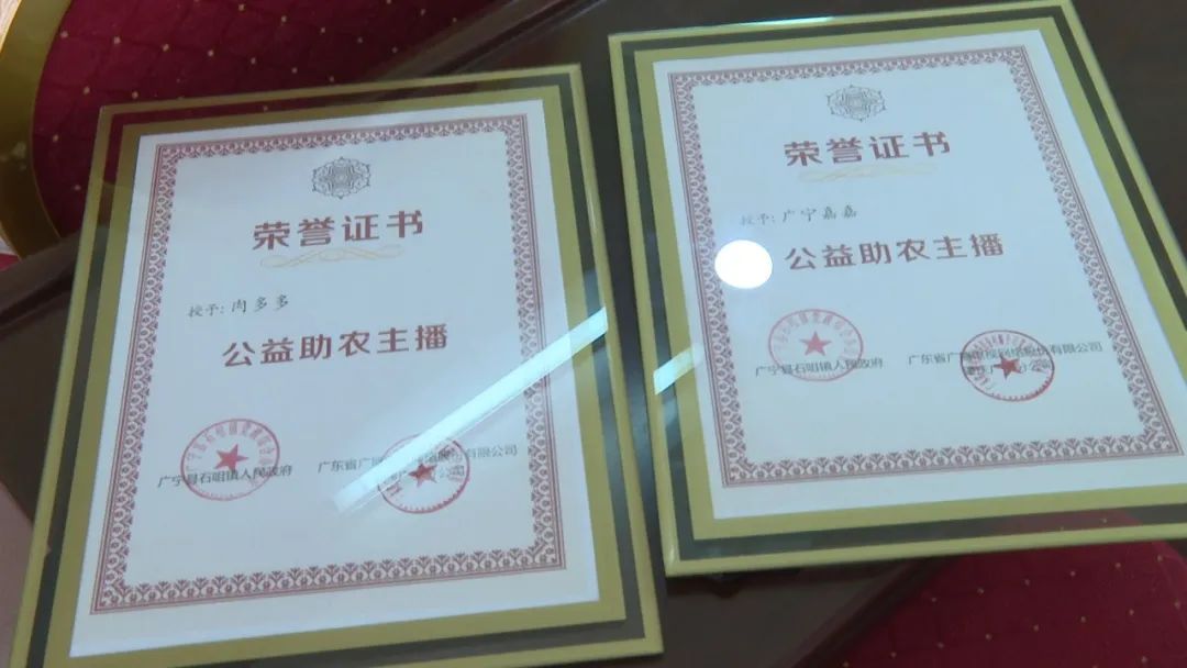 廣東廣電網(wǎng)絡(luò)：智慧廣電網(wǎng)絡(luò)平臺(tái)，開啟廣寧農(nóng)產(chǎn)品銷售新格局